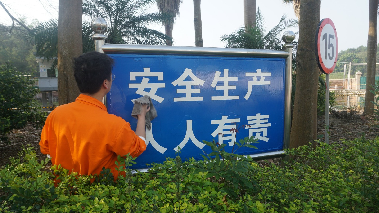 1710464991573183.jpg 7.jpg